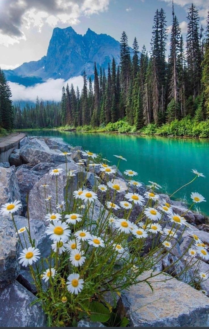 Yoho national park 🏞️