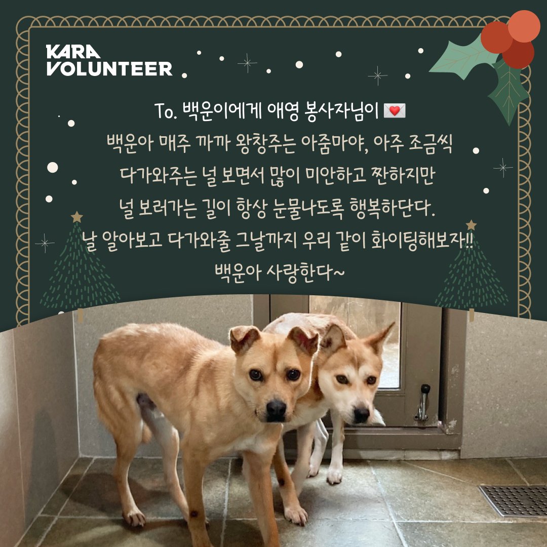 ekara_org's tweet image. 더봄봉사대 봉사자님들이 동물들에게 전해주신 소중한 편지입니다.💚 더봄센터에 없어선 안 될 소중한 존재이자 동물들의 든든한 지지자인 더봄봉사대 봉사자님들 연말에도 동물들에게 마음을 나눠주셔서 감사드립니다!
 
💙 봉사자님들의 편지 더보기 &amp;gt; 
ekara.org/parttake/serve…
