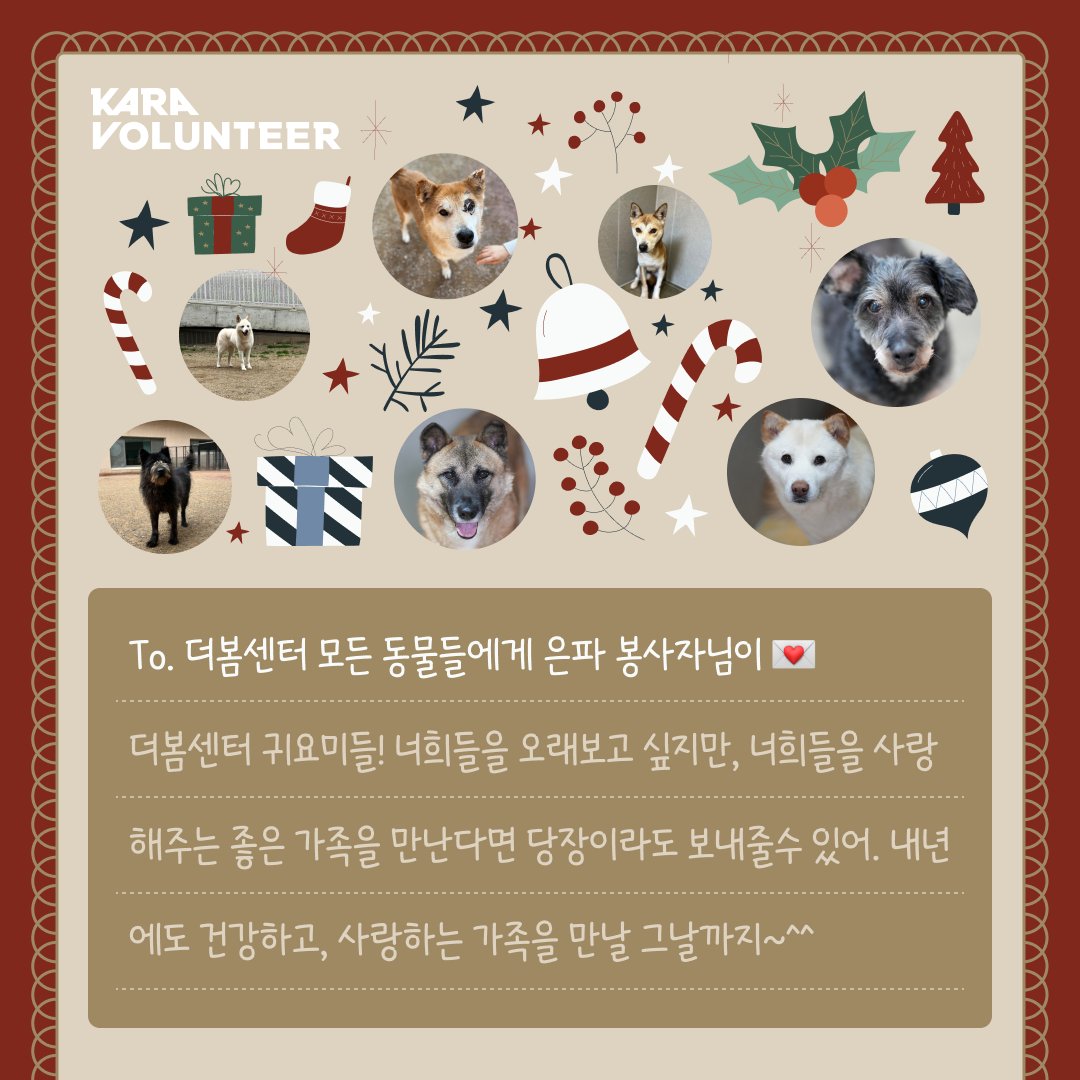 ekara_org's tweet image. 더봄봉사대 봉사자님들이 동물들에게 전해주신 소중한 편지입니다.💚 더봄센터에 없어선 안 될 소중한 존재이자 동물들의 든든한 지지자인 더봄봉사대 봉사자님들 연말에도 동물들에게 마음을 나눠주셔서 감사드립니다!
 
💙 봉사자님들의 편지 더보기 &amp;gt; 
ekara.org/parttake/serve…