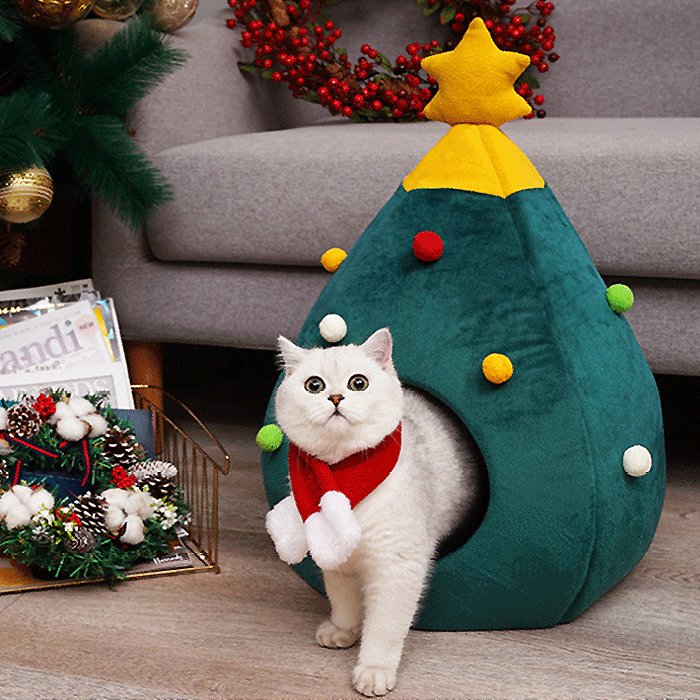 funplus9's tweet image. 이제 곧 크리스마스~

#크리스마스#크리스마스소품#고양이숨숨집#크리스마스냥이#크리스마스댕댕이