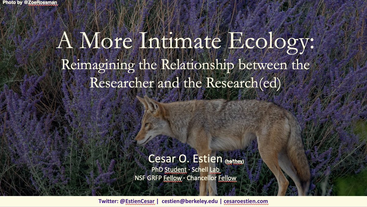 pretty pumped to talk about my queer ecology paper tomorrow with folks !! 🤠