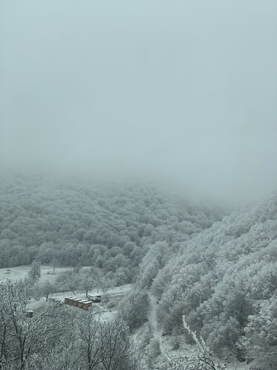 shayjadid's tweet photo. The winter is here https://t.co/nGsDDP78P8
