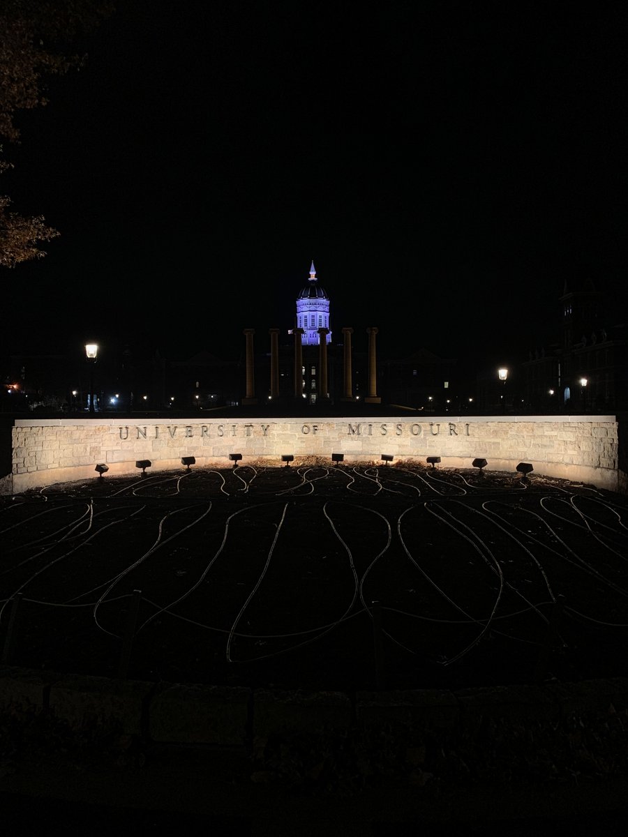 Selly Demir tweet media