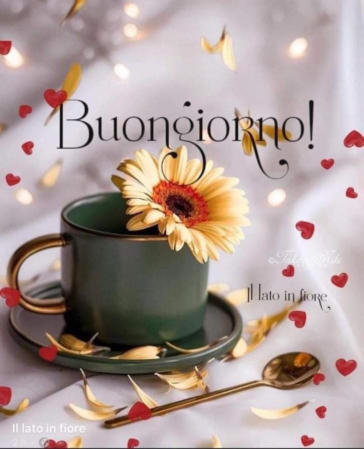 bezzone claudio (@bezzoneclaudio) on Twitter photo 