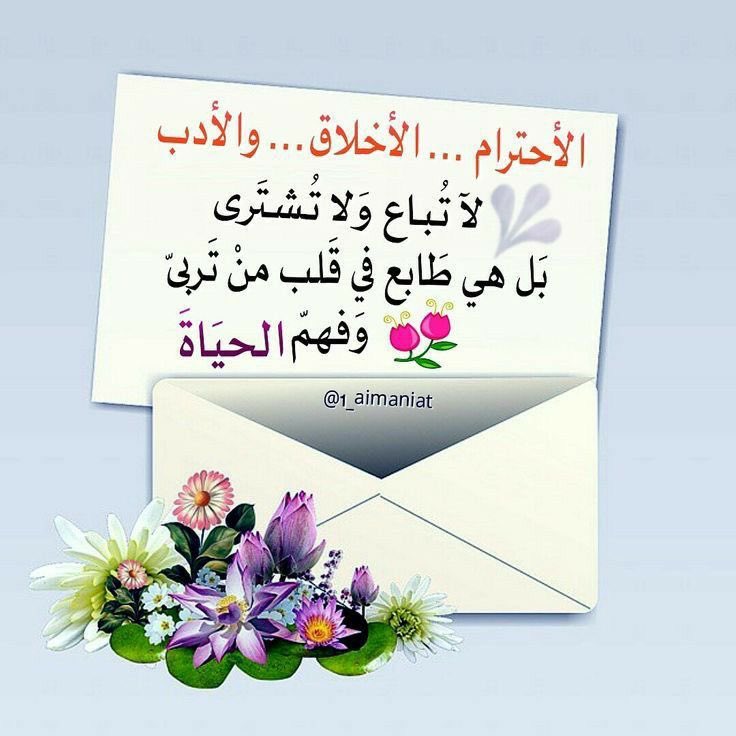 وطن مُر tweet media