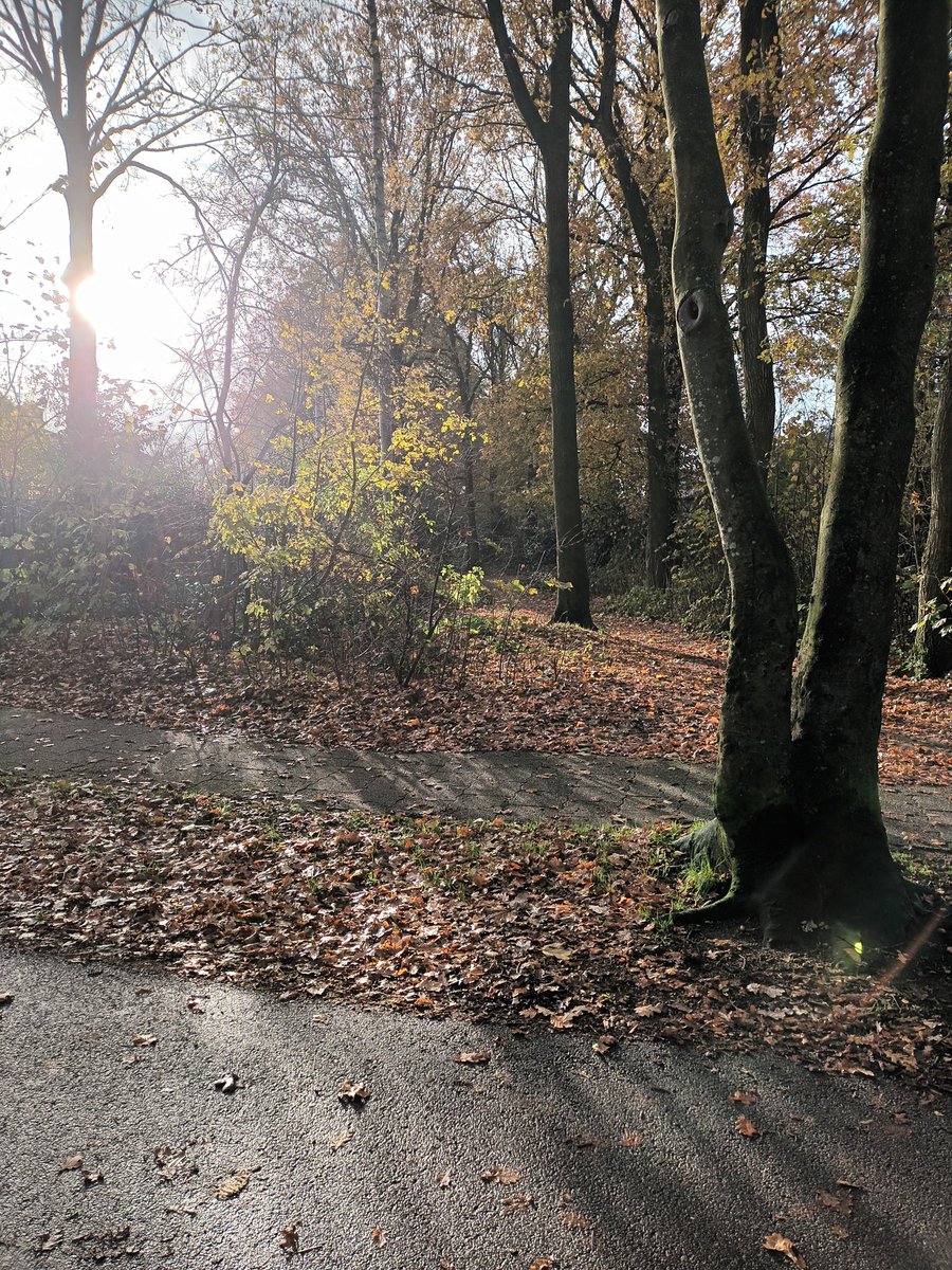 Saartje63781665's tweet image. Goedemorgen allemaal!!!
Het zonnetje scheen hier gisteren 😉
Dus heerlijk buiten geweest
Fijne dag jullie😀😀😀😀