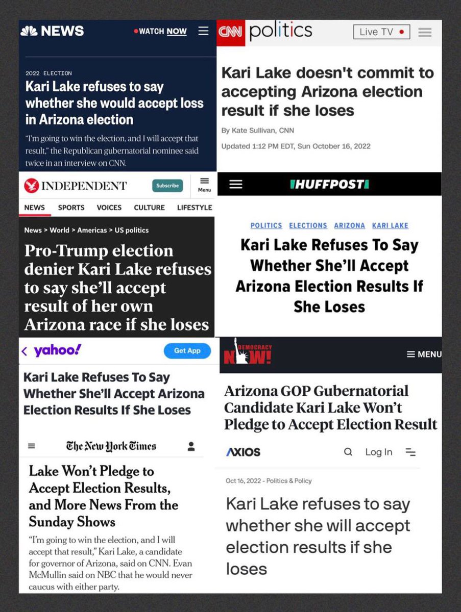 Kari Lake tweet media