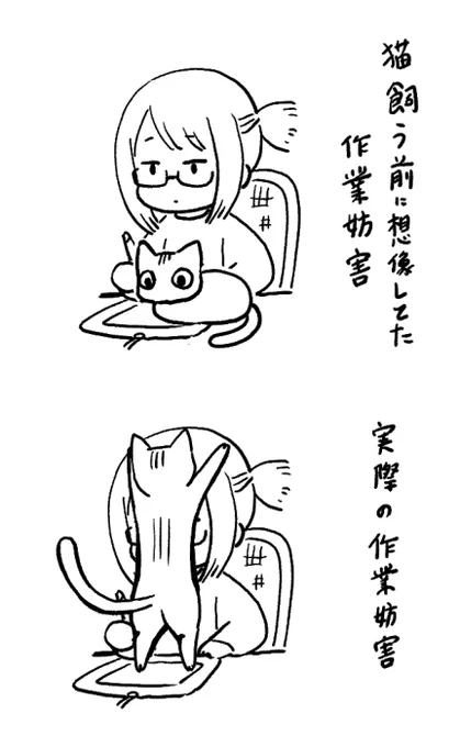 うちの愛猫、愛情表現がだいぶアグレッシブで「聞いてた話と違うんじゃが!」てなる 