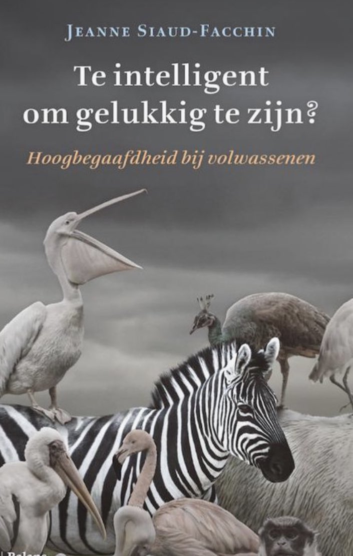 Peter Anckaert tweet media