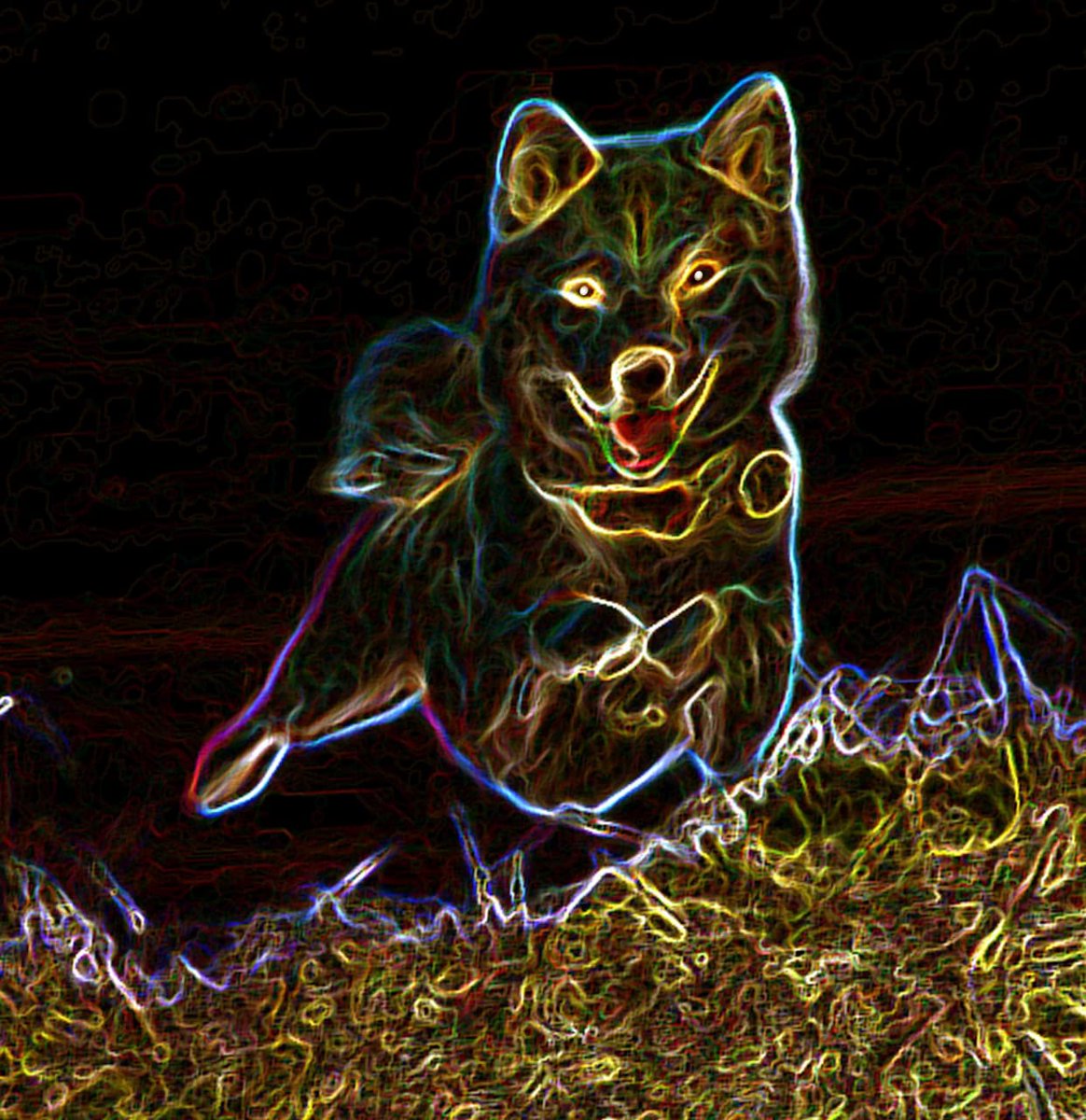 morens_crypto's tweet photo. #DOGE After Birthday Party #HappyAndFree ☺☺☺🙏🙏🙏😁😁😁😁🎊🎊🎊 https://t.co/MkGgCd6wAt