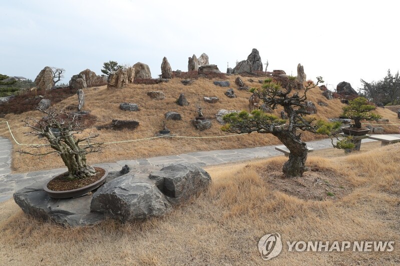 kvibe_yonhap's tweet photo. #Sinancounty of #SouthJeolla province will kick off “#Islandwinderflowerfestival” on December 9 until January 31 at #1004IslandpottedPlantsGarden 

#겨울꽃 #애기동백 

https://t.co/skvX0rRmM9 https://t.co/17PxaX0gfM