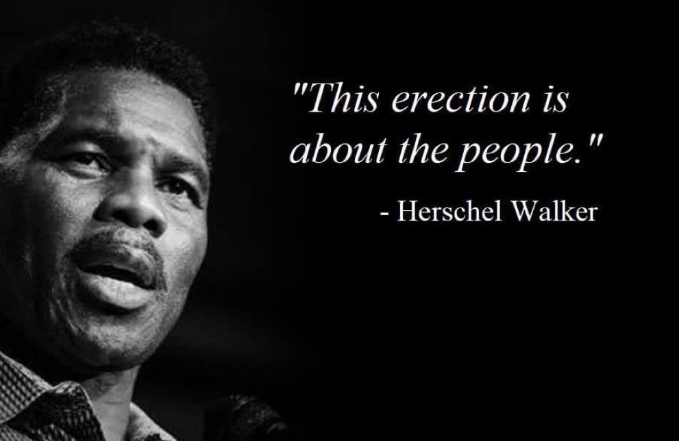 UndLernen's tweet photo. Just one Georgia county (Cobb) still to report, and Raphael Warnock holds a huge lead.
So it's time to appreciate all the "lost the erection" jokes.
#WalkerLosesErection #GeorgiaSenateRunoff #GeorgiaRunoffElection #WalkerLoses #GASEN #GArunoff #georgiaelection #HerschelWalker https://t.co/QxnHccXBti