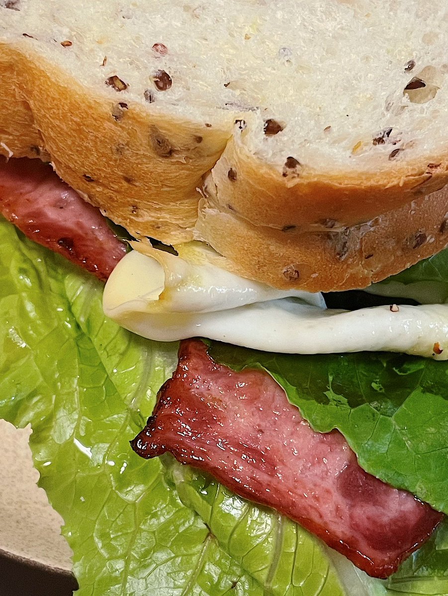 晚起的猪猪有早饭吃。