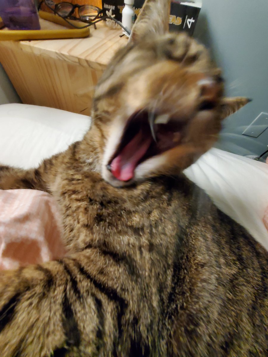 KamilHenri's tweet photo. @jackboxgames Oscar won't stop shouting obscenities at me like some grumpy old man at a small town pub https://t.co/ka0whPrao5