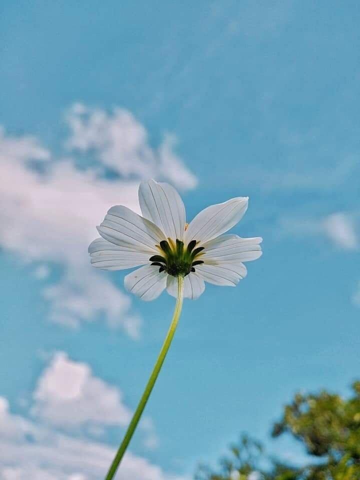 H101RB5oKMQYWoC's tweet image. รอยยิ้มไม่ได้บ่งบอก ว่าเรามีความสุขเสมอไป ◡̈ #แคปชั่นอ่อย #แคปชั่นเด็ด #แคปชั่น #แคปชั่นกวนตีน #แคปชั่นน่ารัก #แคปชั่น2022 #แคปชั่นเสี่ยว #แคปชั่นตลก #แคปชั่นโดนๆ #แคปชั่นคาเฟ่ #แคปชั่นคนโสด #เมนชั่นตัวเอง