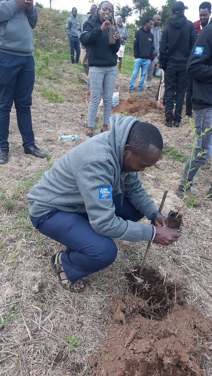 The right time to plant a tree is now #NationalYouthConvetion 
#YouthinclimateAction
#Kereitaforest