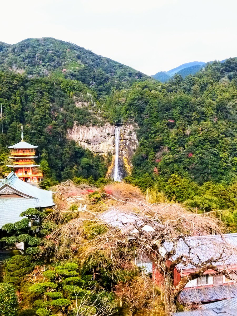 jwu_wo's tweet image. ☆那智の滝（和歌山）🏞🌈
#那智の滝
#那智山青岸渡寺