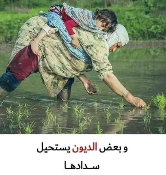 Rsafi03's tweet photo. صورة وتعليق.. https://t.co/pLStPx7Y1g