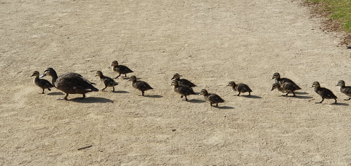 James Spyrou tweet media