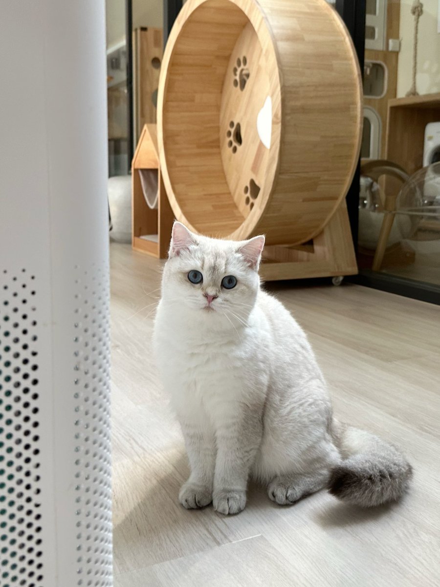 ผิวขาว ปากนิด ตะหมูกหน่อย สเปคใครมั้ยคะ