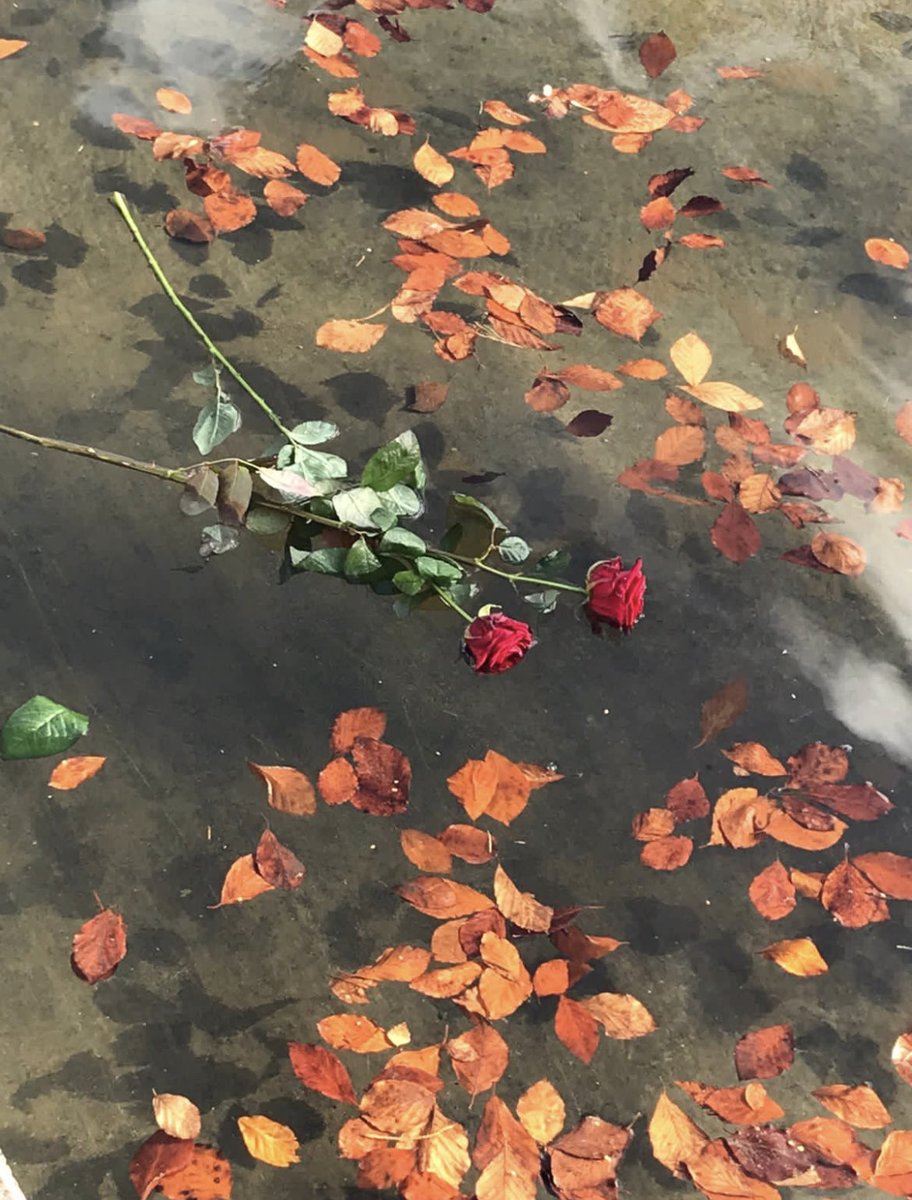 Today is National Missing Persons Day. As of today 897 people are long term missing on this island. 897. (836 in Republic, 61 in North) #ThinkingOfYou ⁦<a href="/DeptJusticeIRL/">Department of Justice, Home Affairs and Migration</a>⁩ ⁦<a href="/gardainfo/">Garda Info</a>⁩ ⁦<a href="/nmph_ireland/">National Missing Persons Helpline</a>⁩ ⁦<a href="/ChiefConPSNI/">Office of the Chief Constable</a>⁩ <a href="/ForensicSci_Ire/">FSI</a>⁩ <a href="/AngelaONeill82/">Angela O’Neill</a>⁩