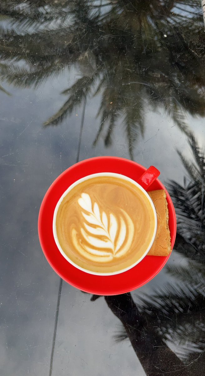 صباح الخير 🕊️ #صباح_الخير_ #تصويري