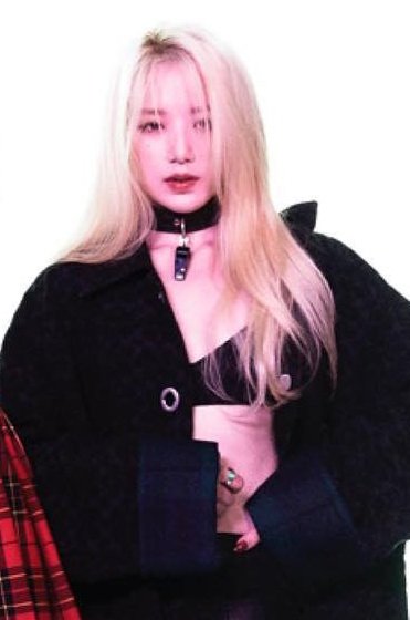 lion queen                           boss baby