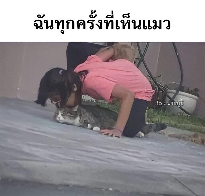 ก็มันน่ารักอ่า งืออออออออออออ