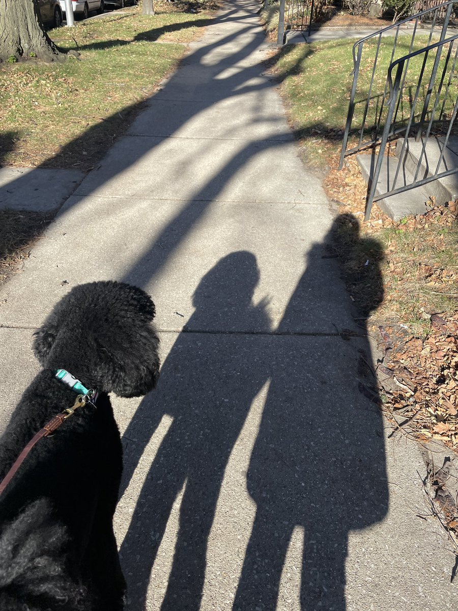 A picture that I took on my walk around Loyola University Chicago’s campus. Although it was cold outside, we always go on walks. 
@chicago @girlswhowalk #walking #coldweather