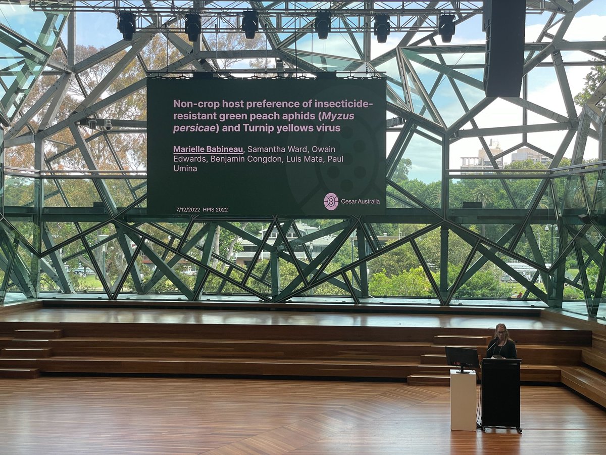 cesaraustralia's tweet photo. Marielle Babineau at the HPIS yesterday presenting research on insecticide resistance in green peach aphids (Myzus persicae) and turnip yellows virus 🙌
#CesarinAction #insecticideresistance #sustainableag https://t.co/SKwL6Su1TS