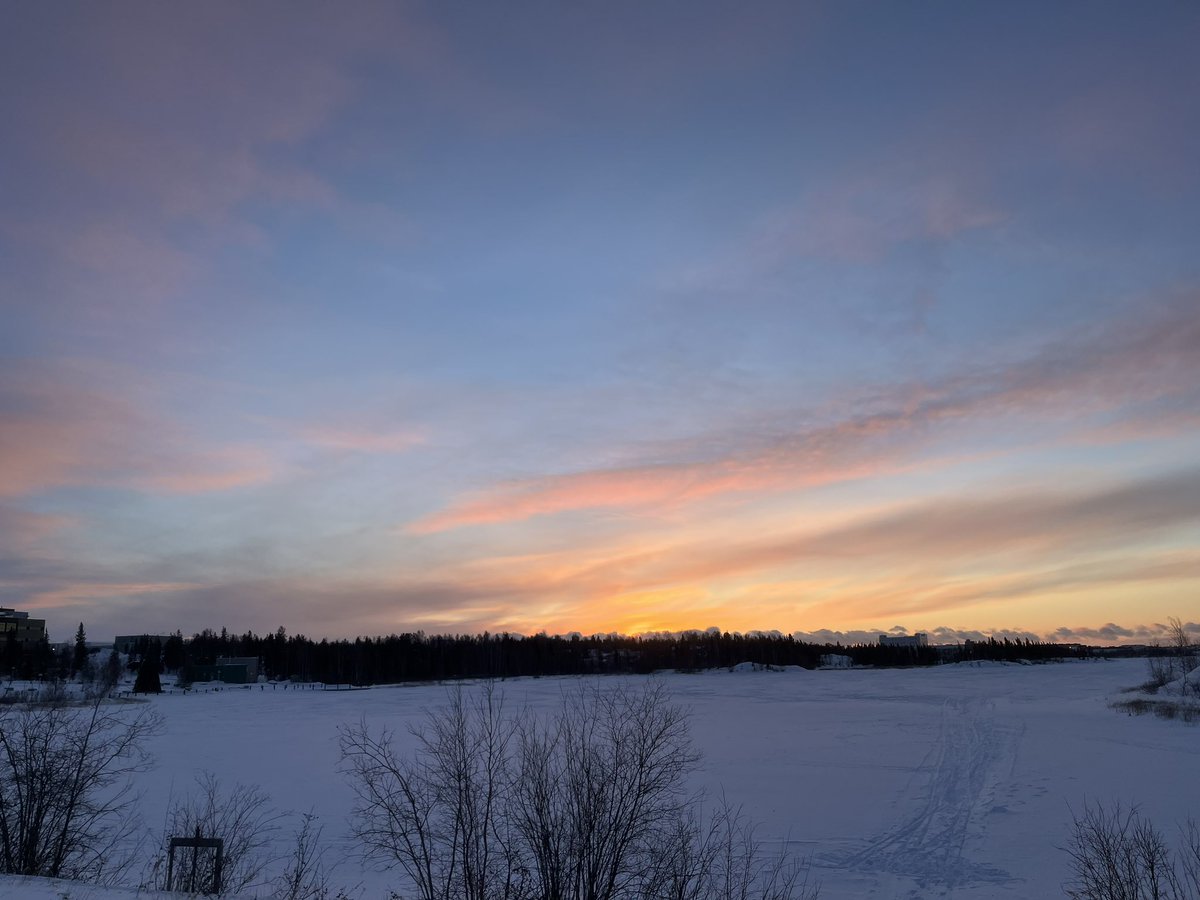 DgrDefender's tweet image. Once in a life time 🤩