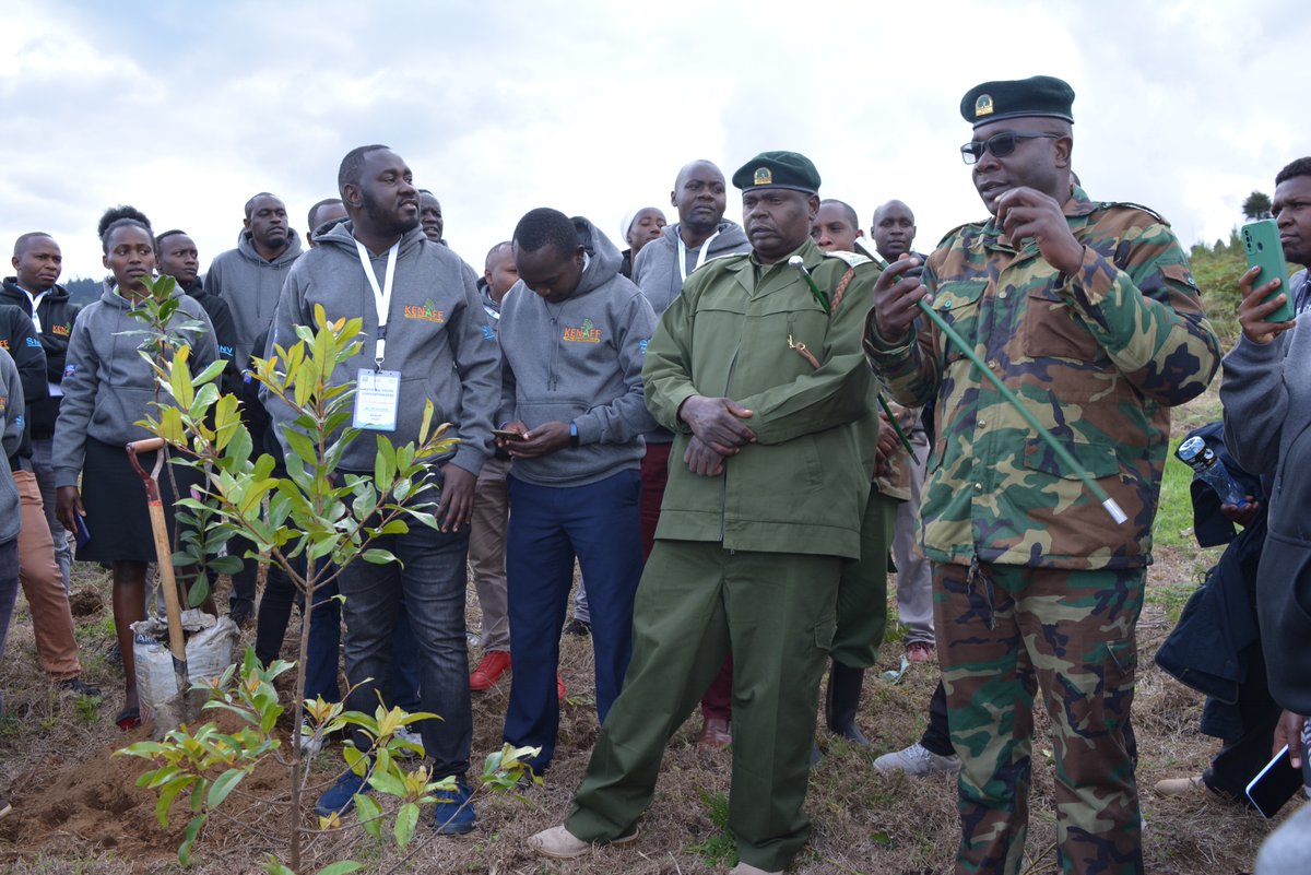kenaff_farmers's tweet photo. The National Youth Convention participants were on Tuesday, December 6, 2022, hosted by KFS officers for a tree planting excursion at Kereita forest, Kimende. @AgriterraKenya @AHA_agrar @SNV_Kenya @KeForestService @Environment_Ke 
#YouthForClimateChange
#NationalYouthConvention https://t.co/GKMUAtiTVr