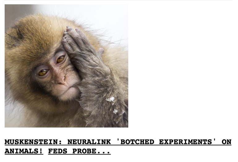 Sam Fishell tweet media