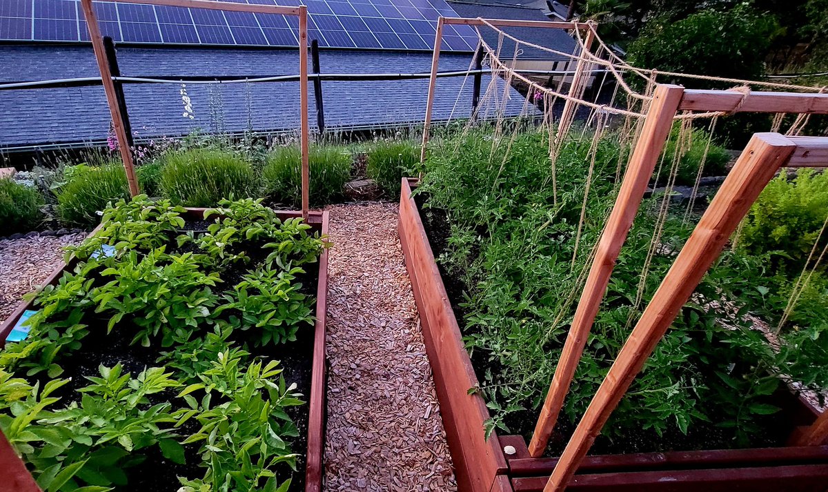 CynthiaLMoyer's tweet photo. @FitFounder Done. Finally. We're doing it. Welcome to my high-tech retirement homestead. 5 acres, our own well, and a big-ass solar system. ❤️ https://t.co/RcZt2TyiEh