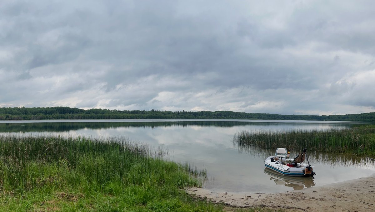 FurgyFly's tweet image. One of our favourite spots. #aloneonthelake #lake #lakefishing #albertafish #fishingtrip #fishingalberta