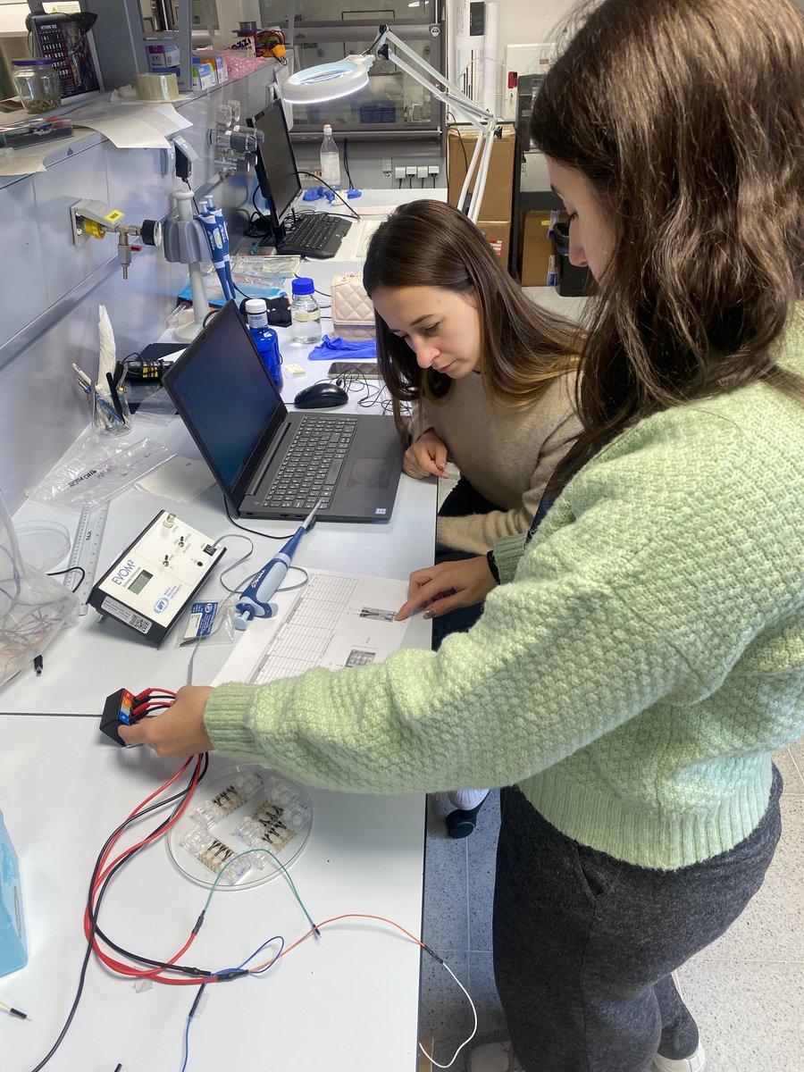 Cistem Project tweet media