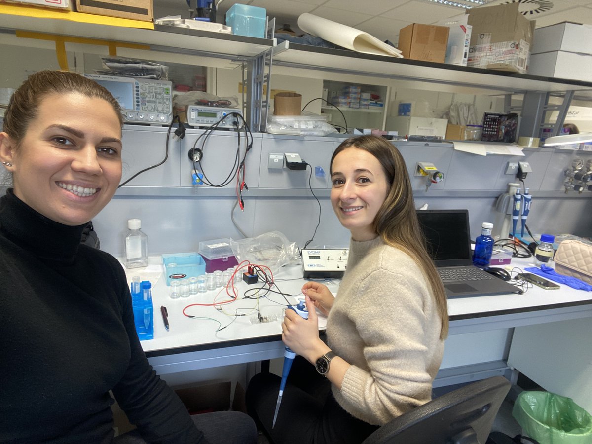 Cistem Project tweet media