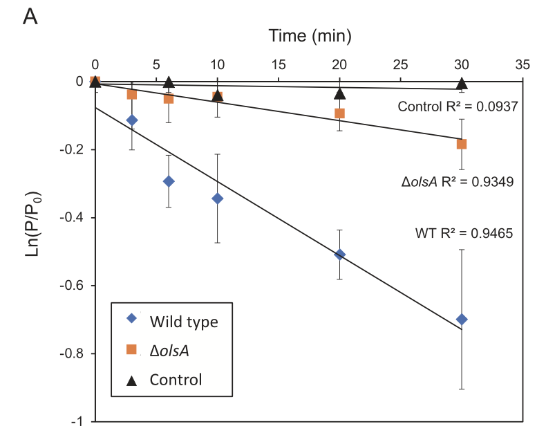 Yin Chen (@chen_group) on Twitter photo our recent work on trade-offs in membrane lipid substitutions. Aminolipids elicit functional trade-offs between competitiveness and bacteriophage attachment - led by <a href="/biochirrup/">Rachel Stirrup 🦠 🌍</a> & <a href="/MichiAMausz/">Michaela A. Mausz</a> et al funded by <a href="/ERC_Research/">European Research Council (ERC)</a> rdcu.be/c09lb our recent work on trade-offs in membrane lipid substitutions. Aminolipids elicit functional trade-offs between competitiveness and bacteriophage attachment - led by <a href="/biochirrup/">Rachel Stirrup 🦠 🌍</a> & <a href="/MichiAMausz/">Michaela A. Mausz</a> et al funded by <a href="/ERC_Research/">European Research Council (ERC)</a> rdcu.be/c09lb