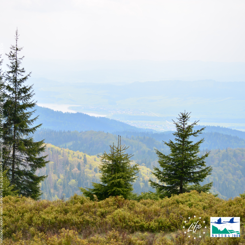 LIFEProgramme's tweet photo. Despite ongoing efforts, biodiversity is deteriorating worldwide. 🌏

We are losing plants &amp; animals at a rate 1000 times greater than any other time in recorded human history.

Discover how our #LIFEprojects' work delivers a myriad of benefits #ForOurPlanet.

#COP15 #LIFEis30
