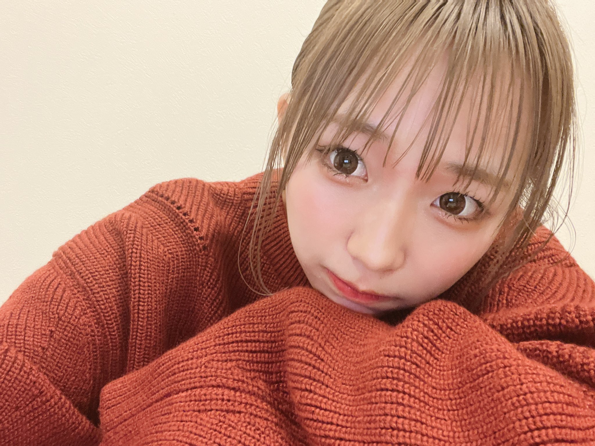 はっぱちゃん Acenor Com Py