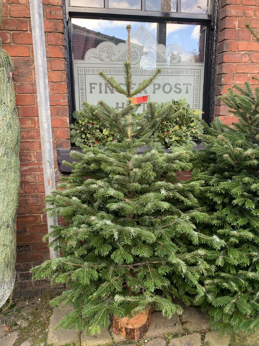AndyTur94183984's tweet photo. If you’re after a top quality Xmas tree we have premium Nordsmanns for sale at the fingerpost hotel, offerton ..5-8ft, free delivery, prices are roughly £10 per foot ..any enquires send me a dm pls..thanks https://t.co/eUKJD4AjBH