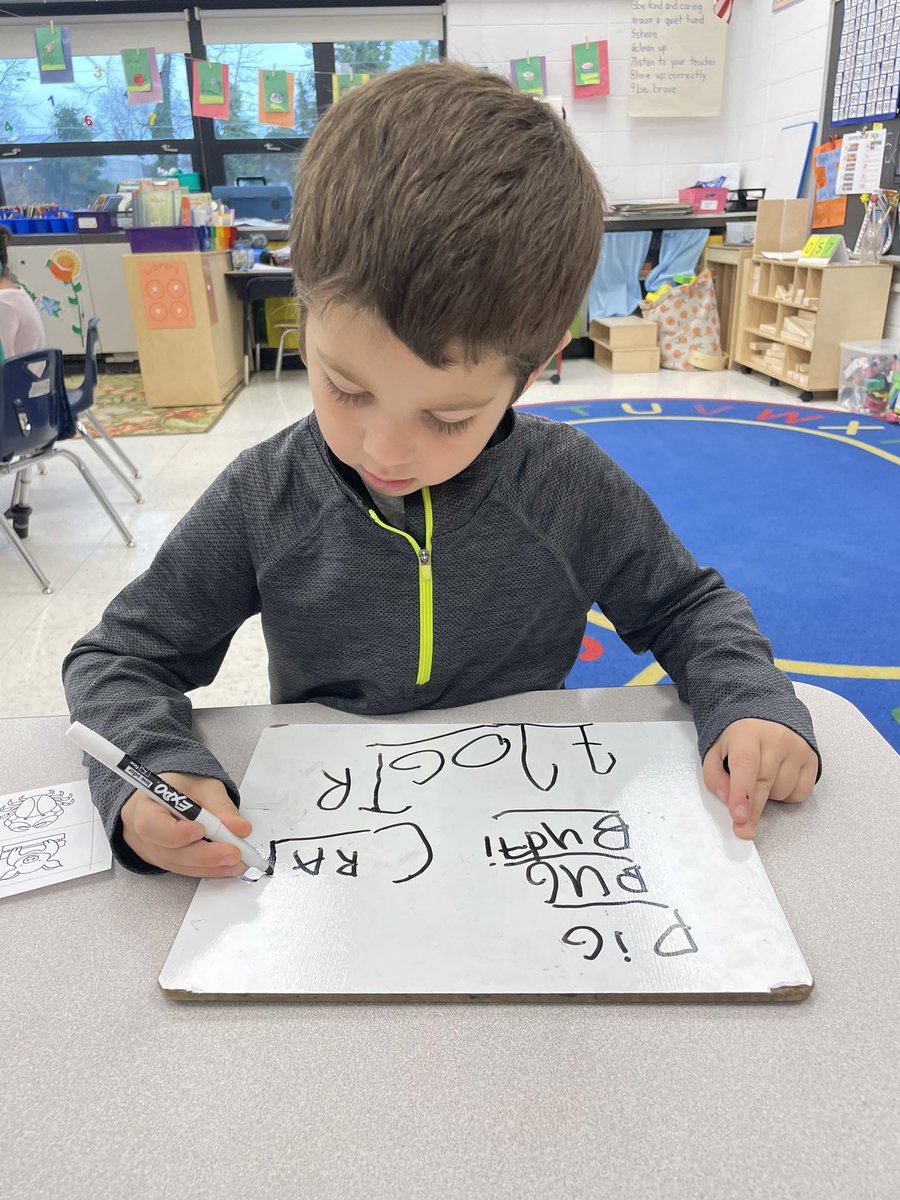 MTL_CS_SchroffK's tweet photo. Yesterday we used what we have learned from studying the #alphabetchart to stretch out the names of animals on our white boards. We got some of the beginning, middle, and ending sounds! Some of us even tried sentences! So proud of these #wordscientists https://t.co/7rxC7IGsL8