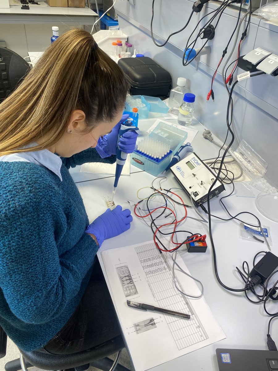 Cistem Project tweet media