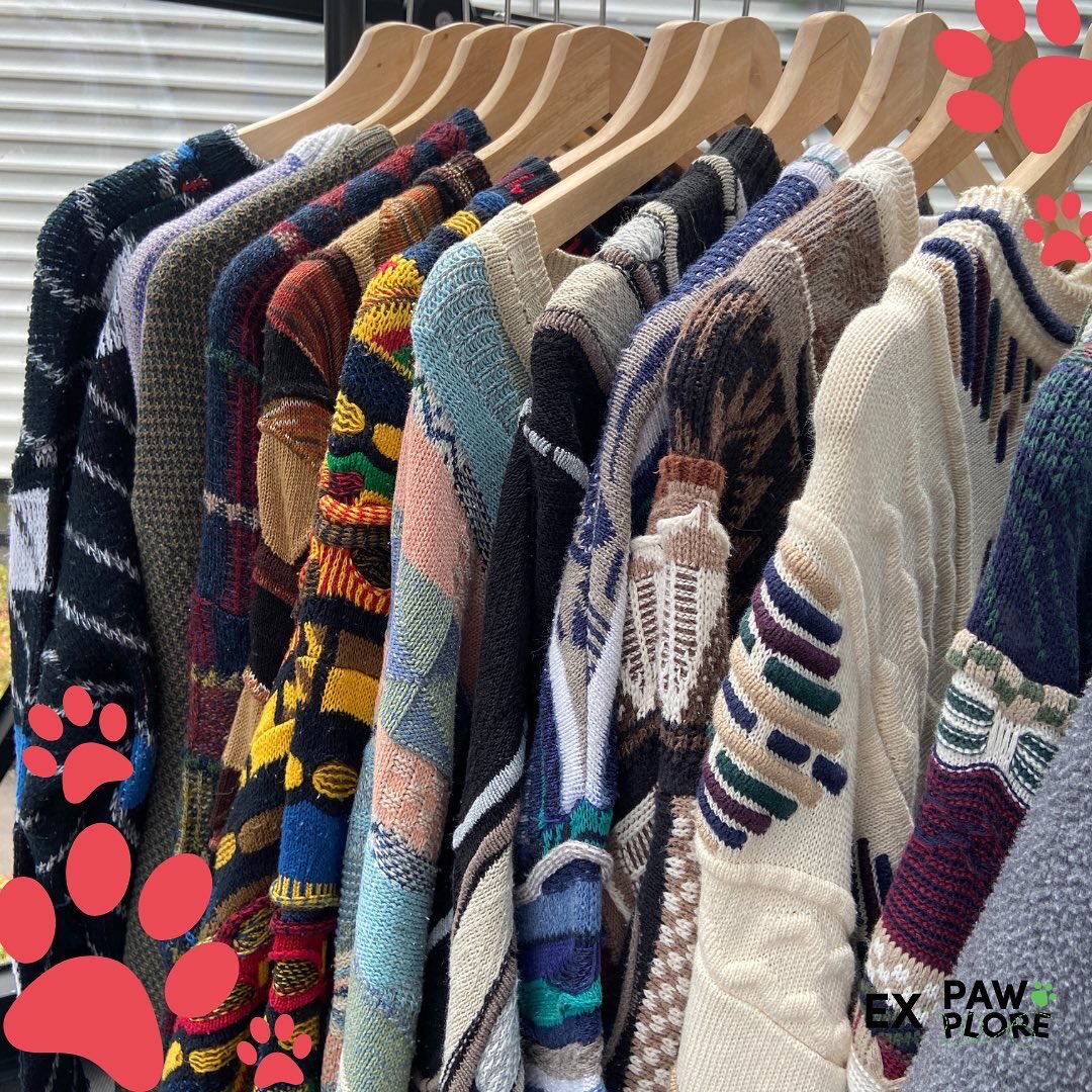 ExPaw_mcr's tweet photo. TRADER ANNOUNCEMENT 📣 

Sunflower Vintage will be popping up at Santa Paws this Saturday! Plenty of incredible pieces for pooch parents to browse🤩🛍

📍Aspin Lane 11am - 4pm
🗓 Saturday 10th December 

We can’t wait to see you there! https://t.co/NnjBM3Ekuk
