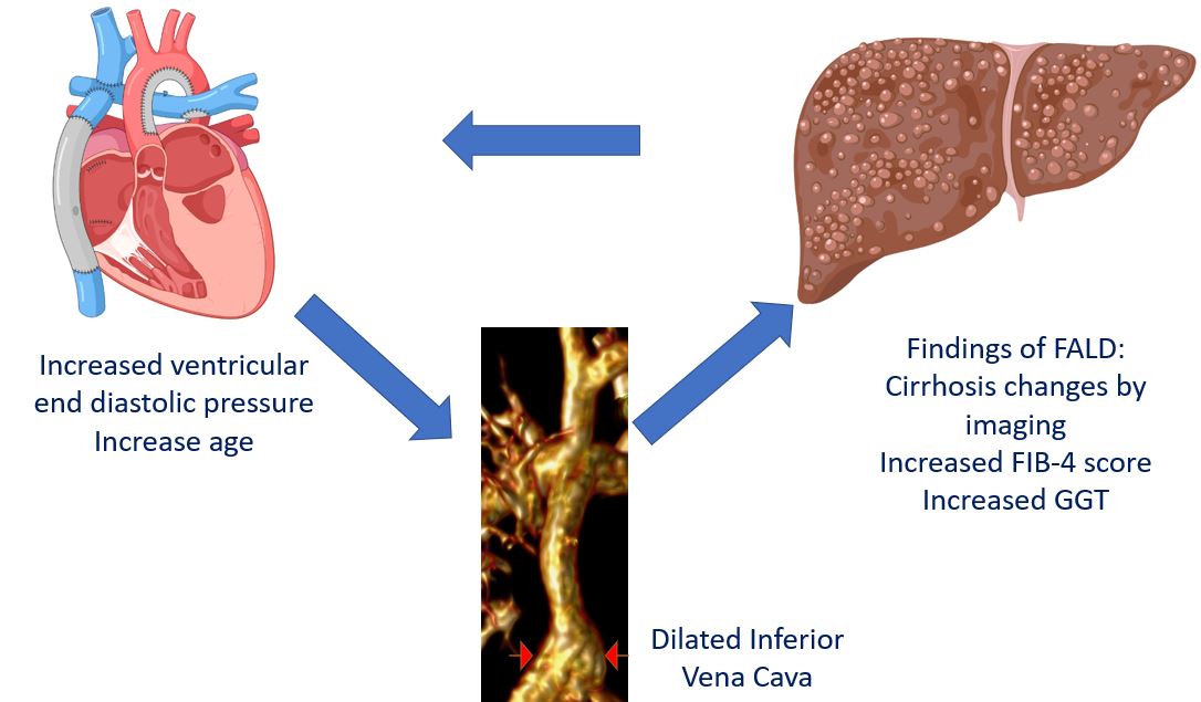 Tarek Alsaied (@alsaiedtarek) on Twitter photo Congrats <a href="/MGunsaulus/">Megan Gunsaulus</a> and Fontan team.
#Whycmr predictors of 🫀 Fontan-associated liver disease (FALD)
Dilated IVC is associated with FALD and is likely a predictor of liver congestion. Is it the 🐔or🥚? Does FALD ⬆️cardiac output
👉rdcu.be/c0PQP
#echofirst #CardioEd Congrats <a href="/MGunsaulus/">Megan Gunsaulus</a> and Fontan team.
#Whycmr predictors of 🫀 Fontan-associated liver disease (FALD)
Dilated IVC is associated with FALD and is likely a predictor of liver congestion. Is it the 🐔or🥚? Does FALD ⬆️cardiac output
👉rdcu.be/c0PQP
#echofirst #CardioEd