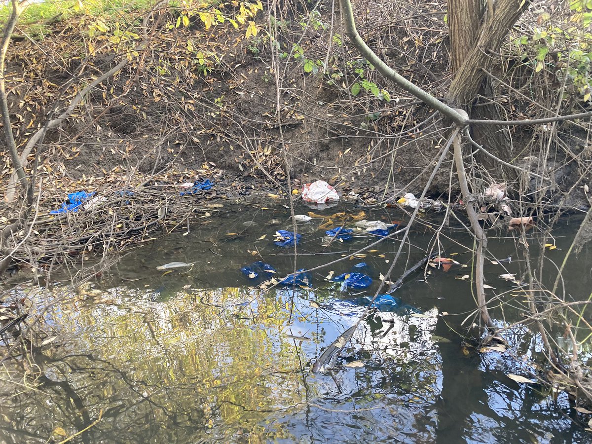 StonebridgeLock's tweet photo. More #INNS Floating Pennywort &amp; flytipping entering the #RiverLea Diversion from the #LeeFloodReliefChannel seen today. Come on @thameswater you’ve reported £500, 000, 000 profit in 6mnths Time to spend £5 000 on a berm to protect our #TottenhamMarshes SINC #watervole habitat https://t.co/LRBb5Tvzff