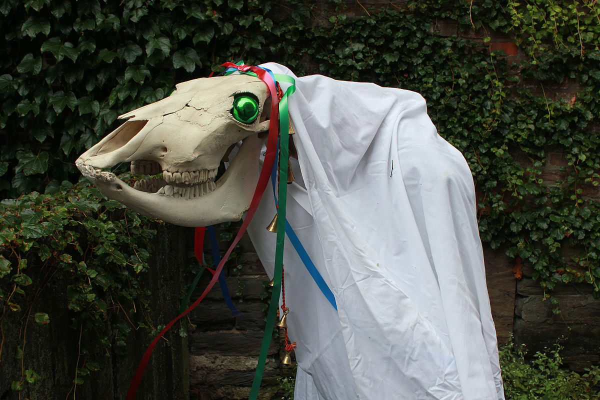 I have a weird request but I'm hoping someone can help! My son is dressing up as the Mari Lwyd for a school play, does anyone know where I can borrow a horse skull (or replica!)? I promise we will take great care of it! 
<a href="/RobThomas14/">Rob Thomas</a> do you know anyone who may be able to help?