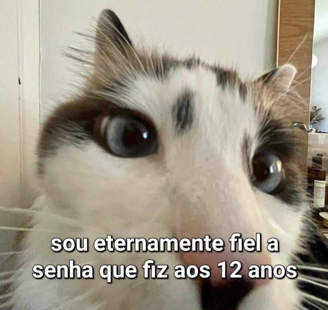 Shitpost só que de verdade (@shitpostverdade) on Twitter photo 