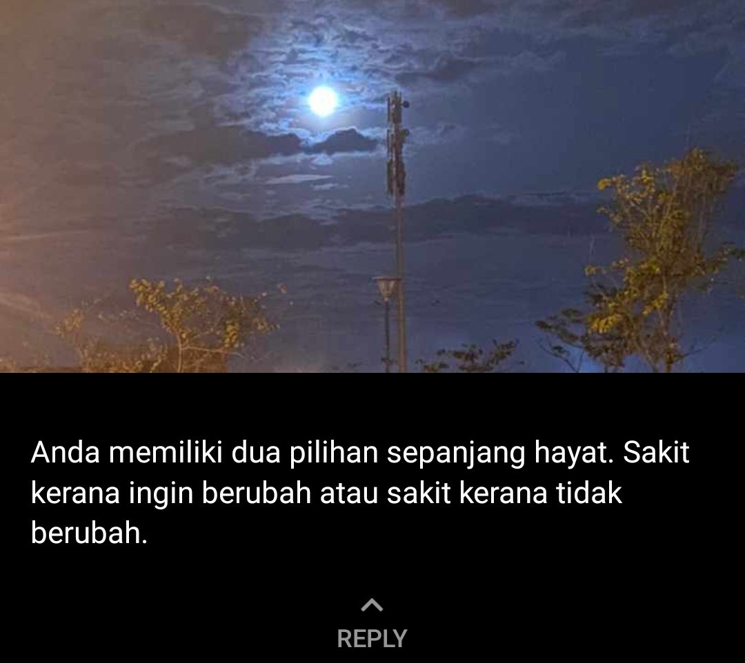 lykha_'s tweet photo. Interested in this verse 🍃 https://t.co/p3i2msrgfr