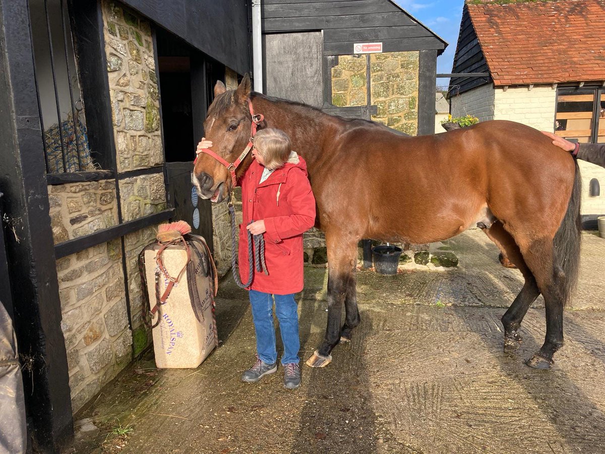 racehorsesanct's tweet photo. Last Thursday we were delighted to welcome Sheila and Louise all the way from Tunbridge Wells! They sponsor  Sir Cozzie and Snowdrop, and as always its a pleasure to see them both. The horses just love being made a fuss of (and the mints 😂) https://t.co/RaVUk7d6MS